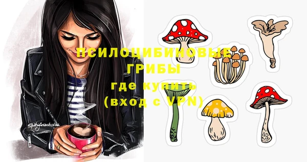 герыч Алзамай