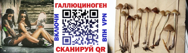 купить закладку  Лаишево  сайты даркнета Telegram  Галлюциногенные грибы прущие грибы 